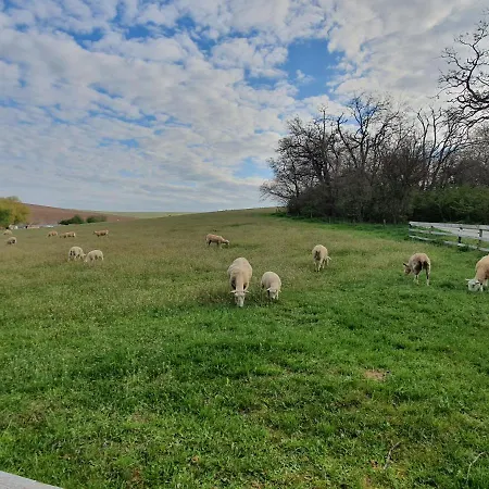U Durkovych Zabokreky Nad Nitrou