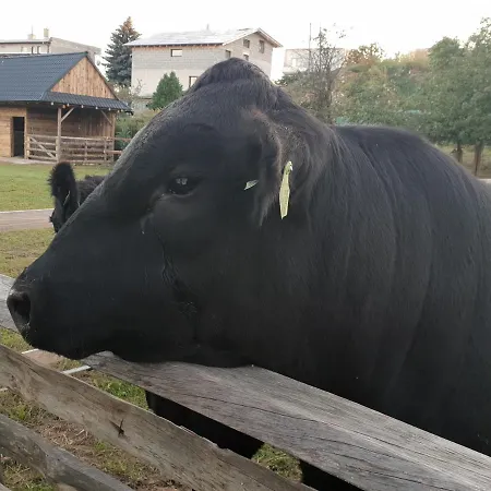 U Durkovych Kır Evi *