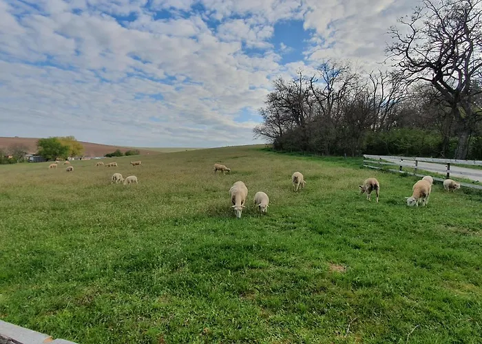 U Durkovych Žabokreky nad Nitrou