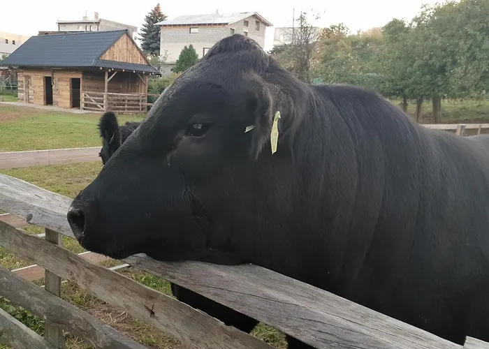 U Durkovych カントリーハウス *