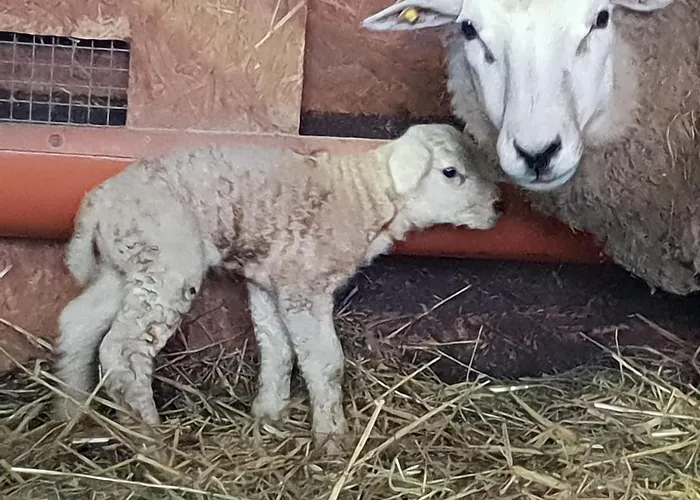 カントリーハウス U Durkovych